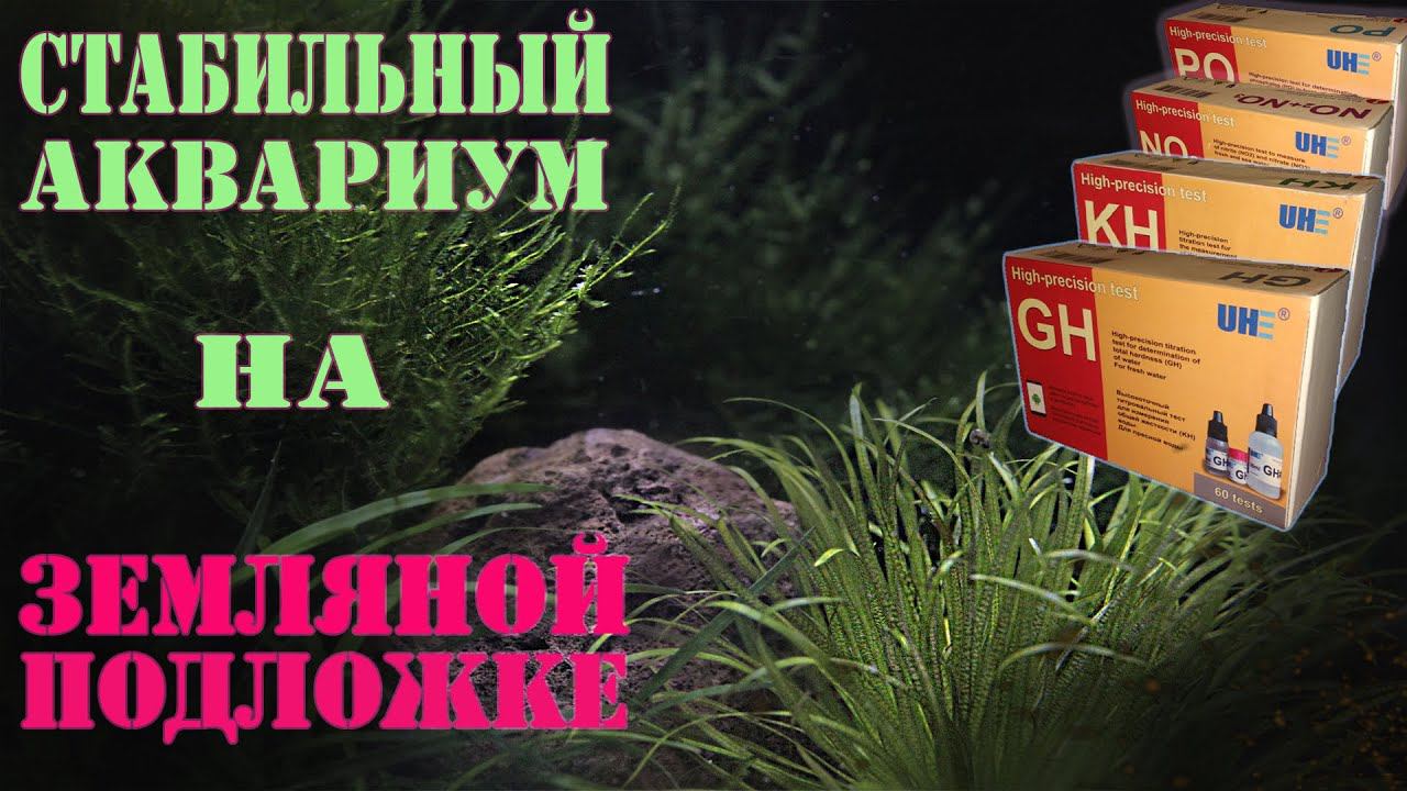 АКВАРИУМ на ЗЕМЛЯНОЙ подложке, в ШОКЕ от ФОСФАТА !