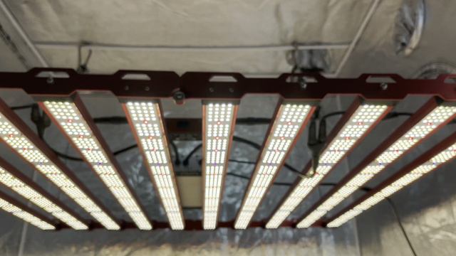 Kingbrite G55 1000w