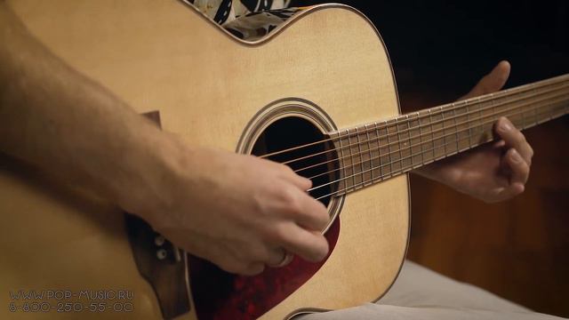 TAKAMINE GN93