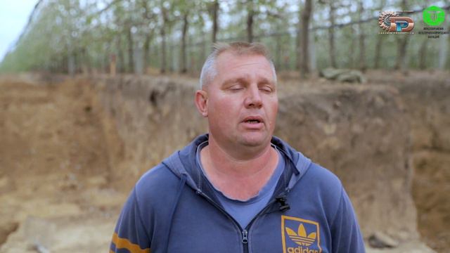 Археологические исследования