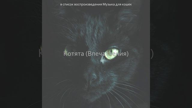 Звуки (Спящие кошки)