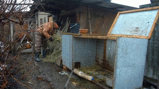 Отсаживаем подсадных уток на передержку.