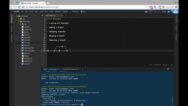 Git Branches - Review