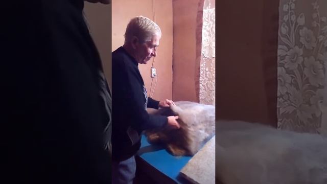 Стельки-улучшают кровообращение ❗️