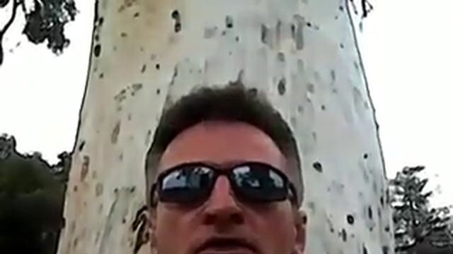 Виталий Гончаров, "Ты моя женщина"