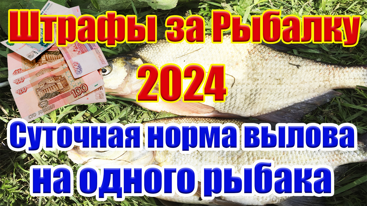 Штрафы за рыбалку 2024 Суточная Норма вылова рыбы Рыболовные правила 2024