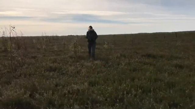 ПРОГУЛКА ПО БОЛОТУБОЛОТО ЦЕЛАУ