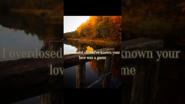 Song We Don't Talk Anymore, Autumn Aesthetics ??