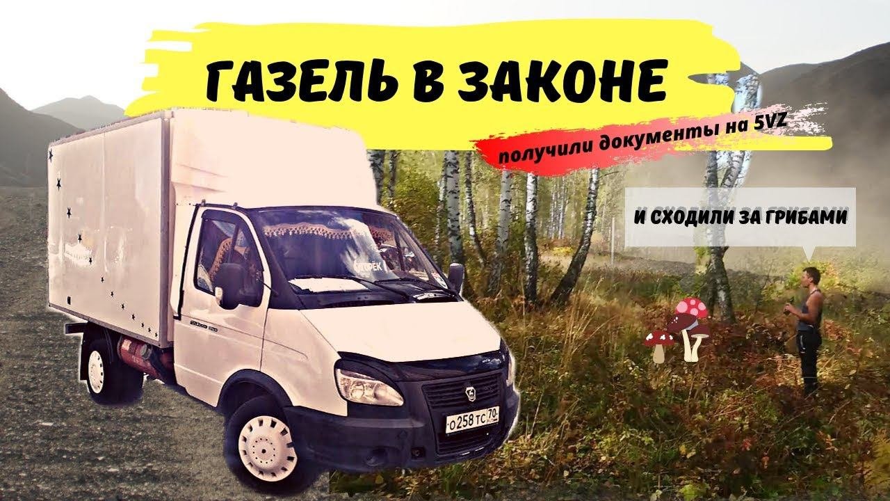 Газель в законе
