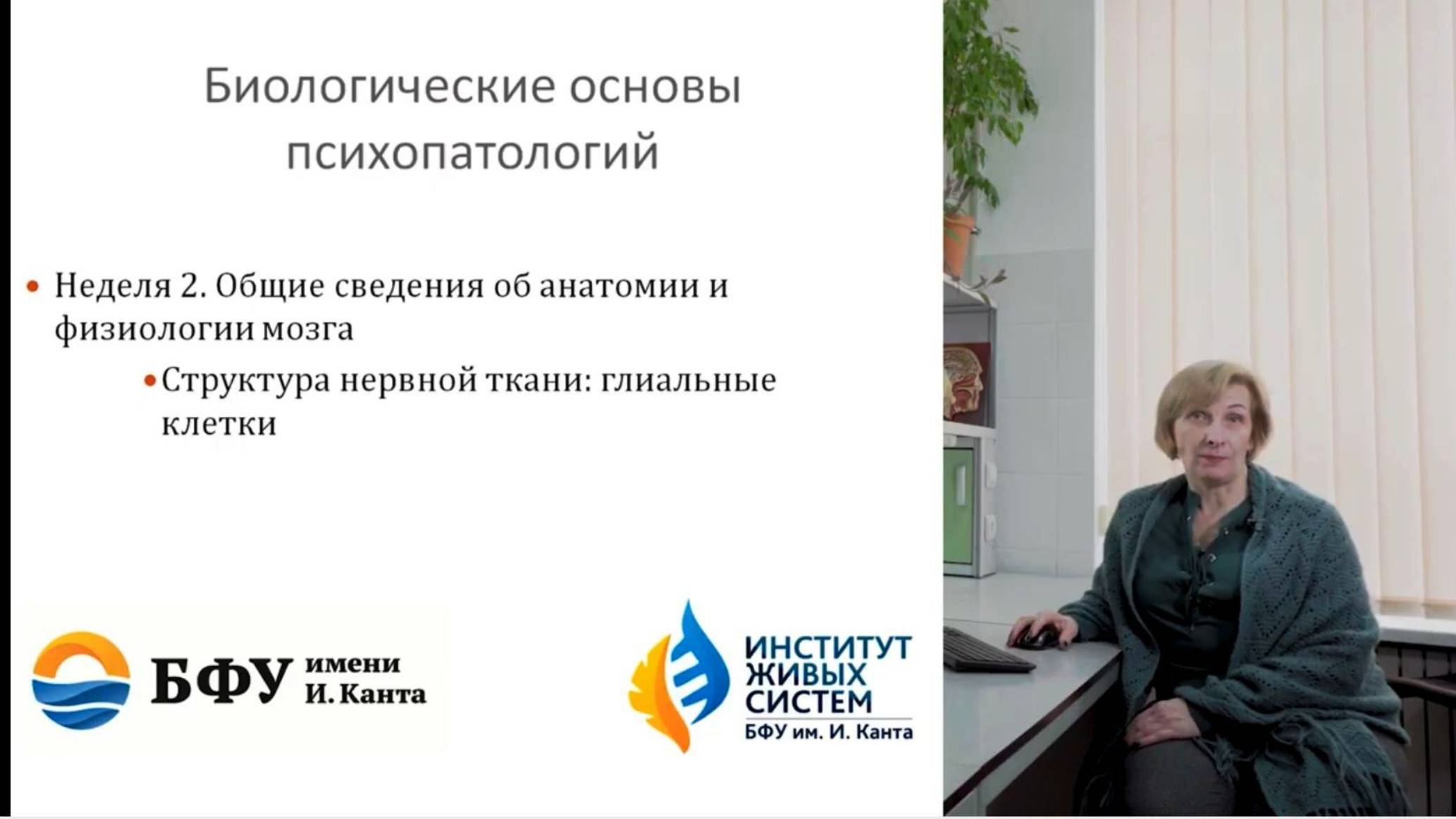 Глиальные клетки