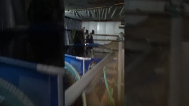 Узв. Как бизнес в гараже.