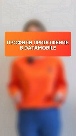 Профили приложения в DataMobile