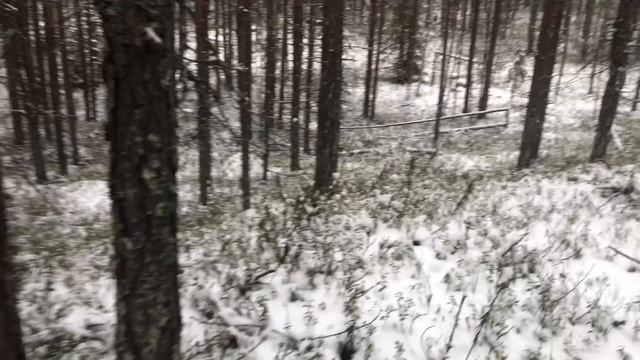 Лопские погосты