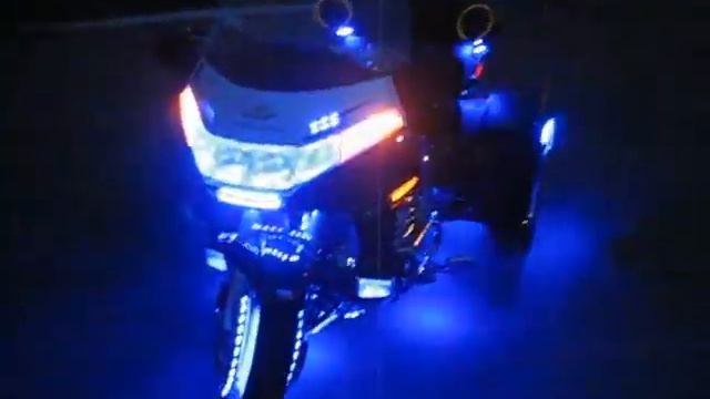 GoldWing Light Belarus