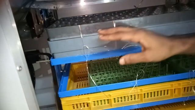 Kolkata Incubator##01#8617791523,8777078117, phone number