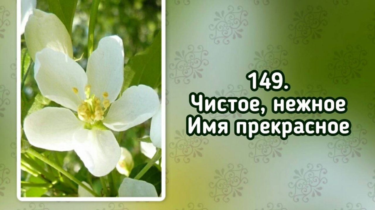 Гимны надежды 149 Чистое, нежное Имя прекрасное (-)