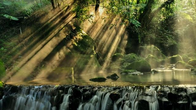 Deep Sleep Music, Calm Music | Relaxing Meditation Music