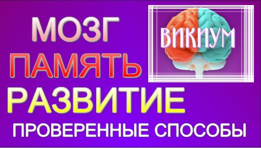 РАЗВИТИЕ МОЗГА И ПАМЯТИ С ВИКИУМ