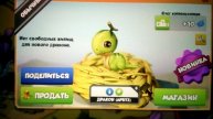 Выводим дракона АРБУЗ !!! Что с жилищем для арбуза ???