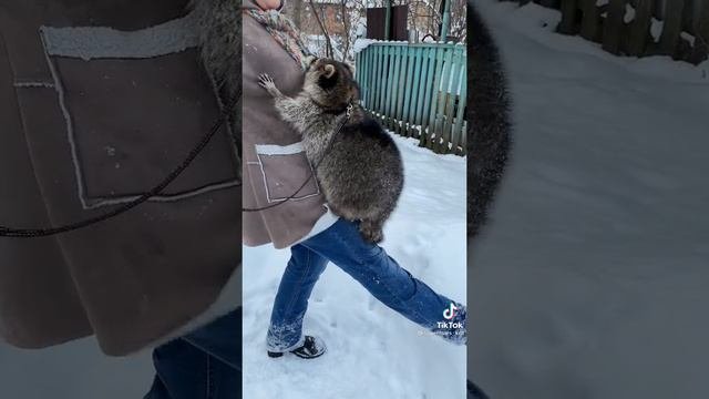 1000115505.mp4