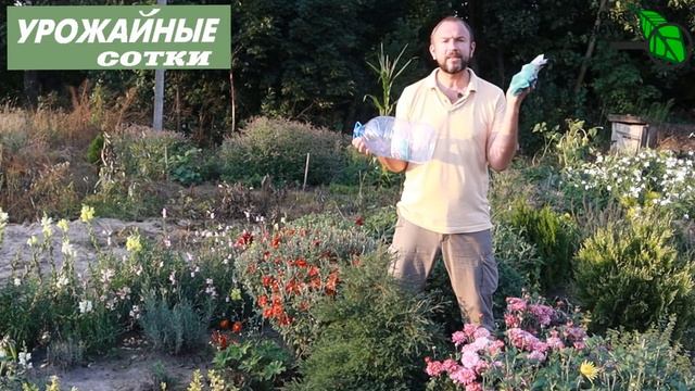 УЖЕ ПОРА ГОНЯТЬ МЫШЕЙ! Безопасно для кошек и птиц!