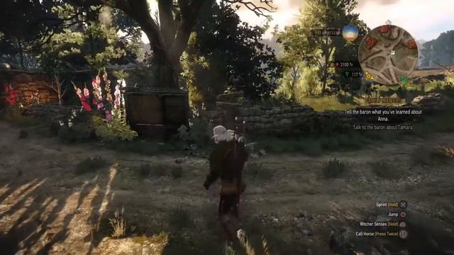 The Witcher III Wild Hunt P53
