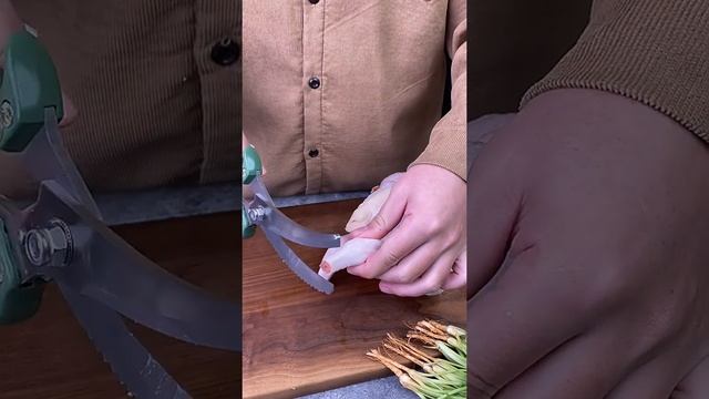 Ножницы_Whale shark.mp4