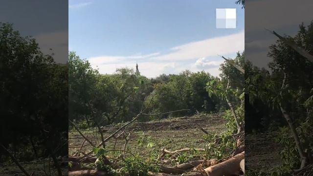 Омск: на набережной Оми вырубают деревья