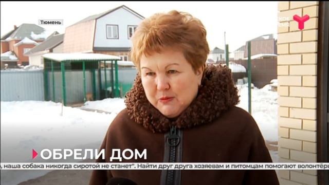 Дом для собак | Тюмень