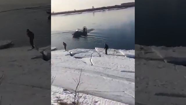 Чудаки на Амфибии?