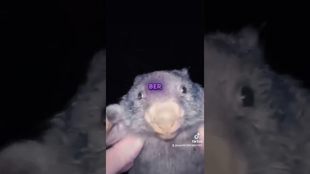 1000007477.mp4