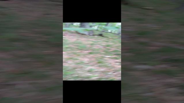 1000408250.mp4