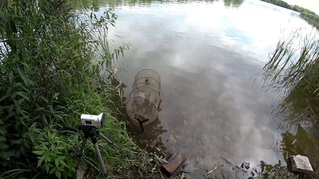 Рыбалка на озере Богородское