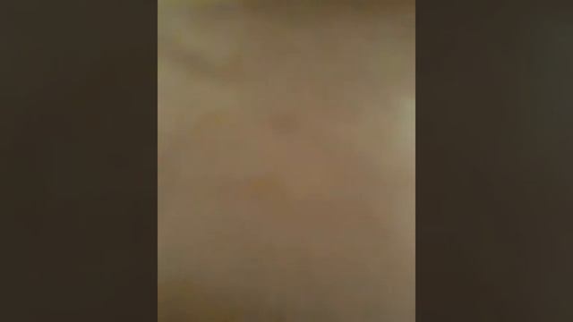 Котик до и после стрижки