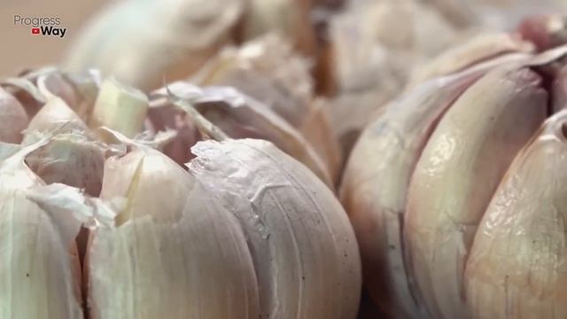 Сыплю под озимый чеснок 2 ложки этого удобрения! Головка Чеснока с Кулак Собираю Тоннами!