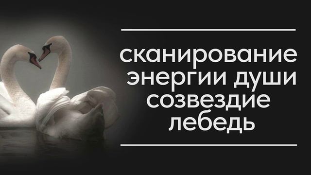 сканирование энергии. Созвездие Лебедь