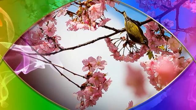 Поздравление !        С днём Рождения Гульнара !