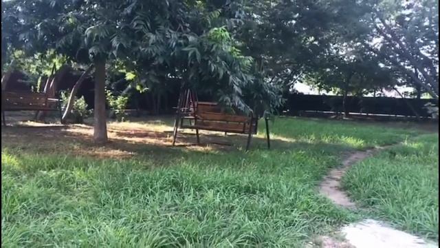 Наши качели