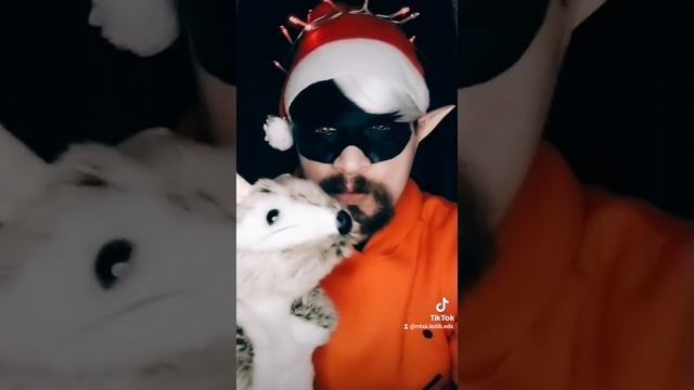 Откройте секрет, из чего делают гавядину
