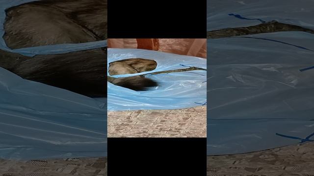 Доставка из ЯндексЛавки