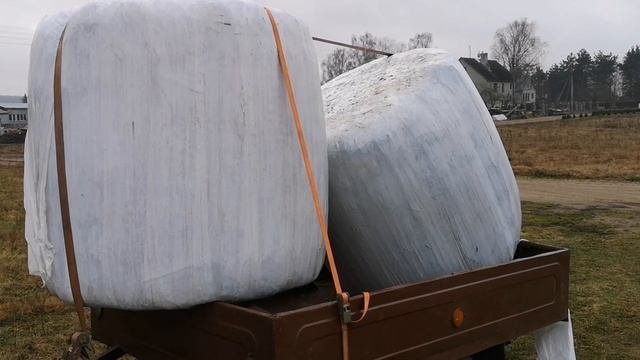 Заменили сено. Козы. Общение.