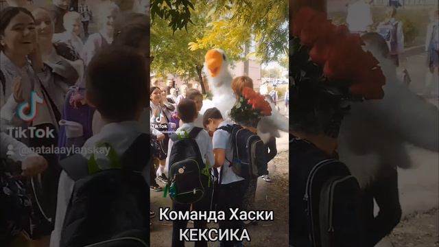 Команда Хаски КЕКСИКА