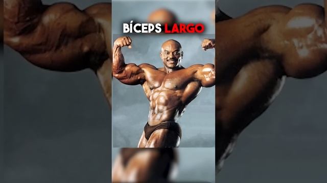 ❌NO Entrenes BÍCEPS Sin Saber Esto??(LA MEJOR FORMA DE GANAR TAMAÑO)?