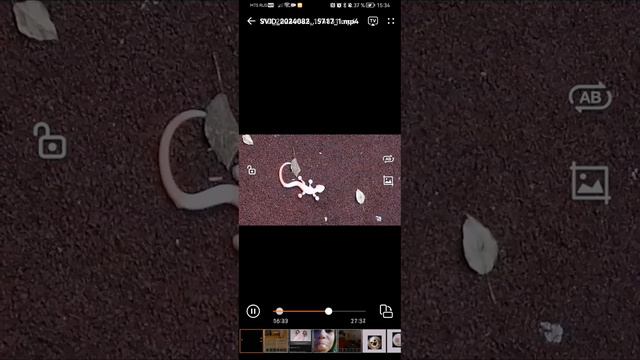 Страна гавна 2/5 трейлер