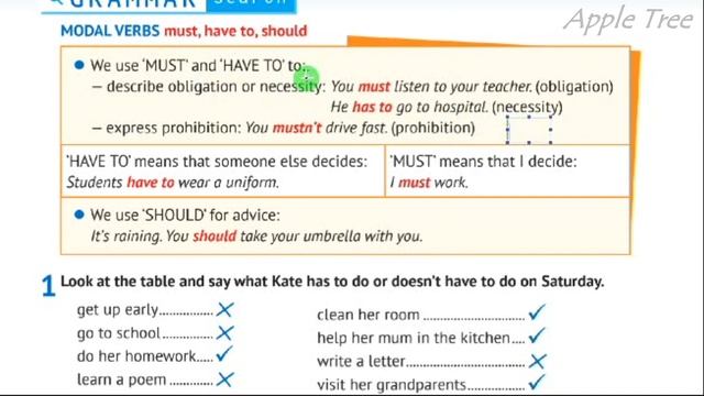 NEW!!! Карпюк 6 НУШ Unit 1 Back to School. Grammar Search c. 15 Student's Book✅ Відеоурок