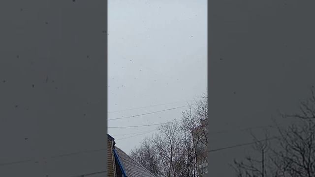 Снег кружитъця! С Весной. 2021