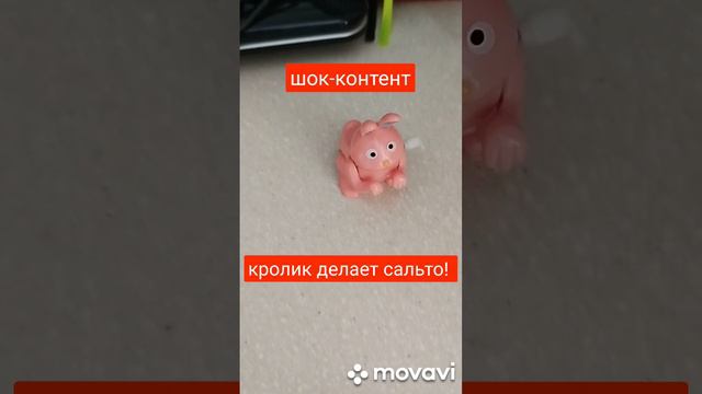 шок-контент кролик делает сальто!