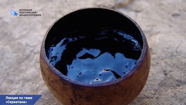 Серватана — оружие коренных народов Амазонии