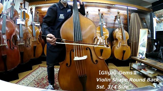 "Gliga"GemsⅡ Violin Shape Round Back 5st 3/4