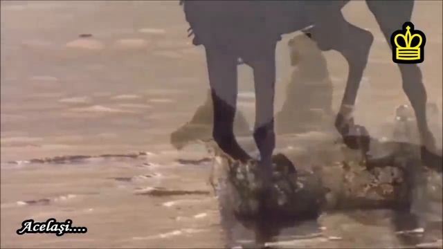 ♔ Allah Allah Ya Baba - Tunisian song ♔